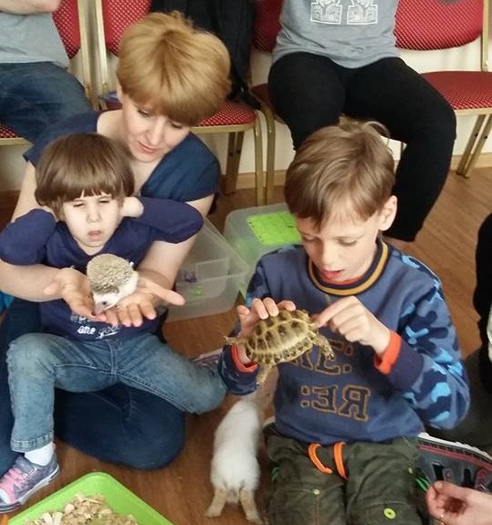Animal Therapy