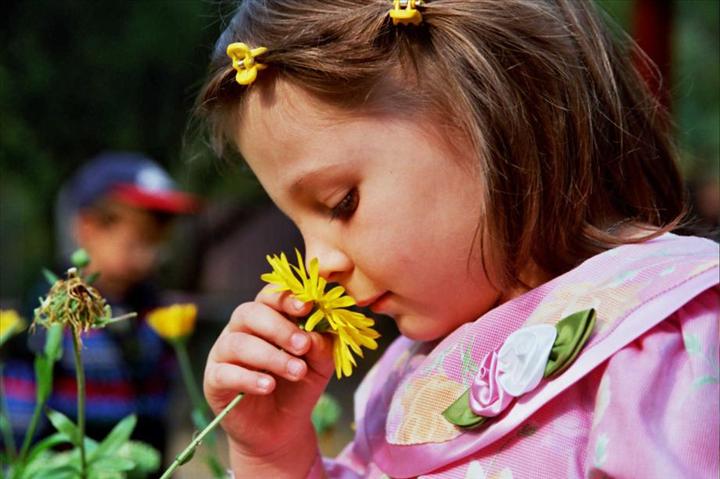 Planting Seeds