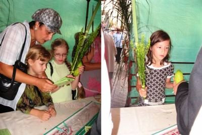 sukkot